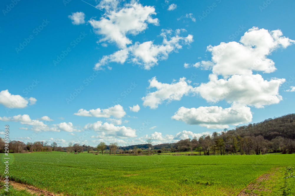 Country lane in the British countryside