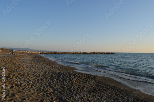 Beach  sea and pinewood on the seaside in Marina di Cecina  Tuscany  Italy. Panoramic view of the coast with pinewood  clear blue water and nice sand in a summer day