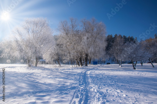Amazing winter scenery with bare trees covered by frost on snowy meadow under blue sky © haidamac