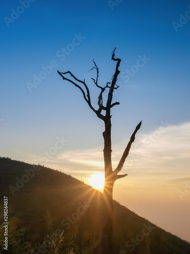Mountain view evening of alone dry tree with yellow sun light and cloudy sky background, sunset at Nern Chang Suek, Thong Pha Phum, Kanchanaburi, Thailand.