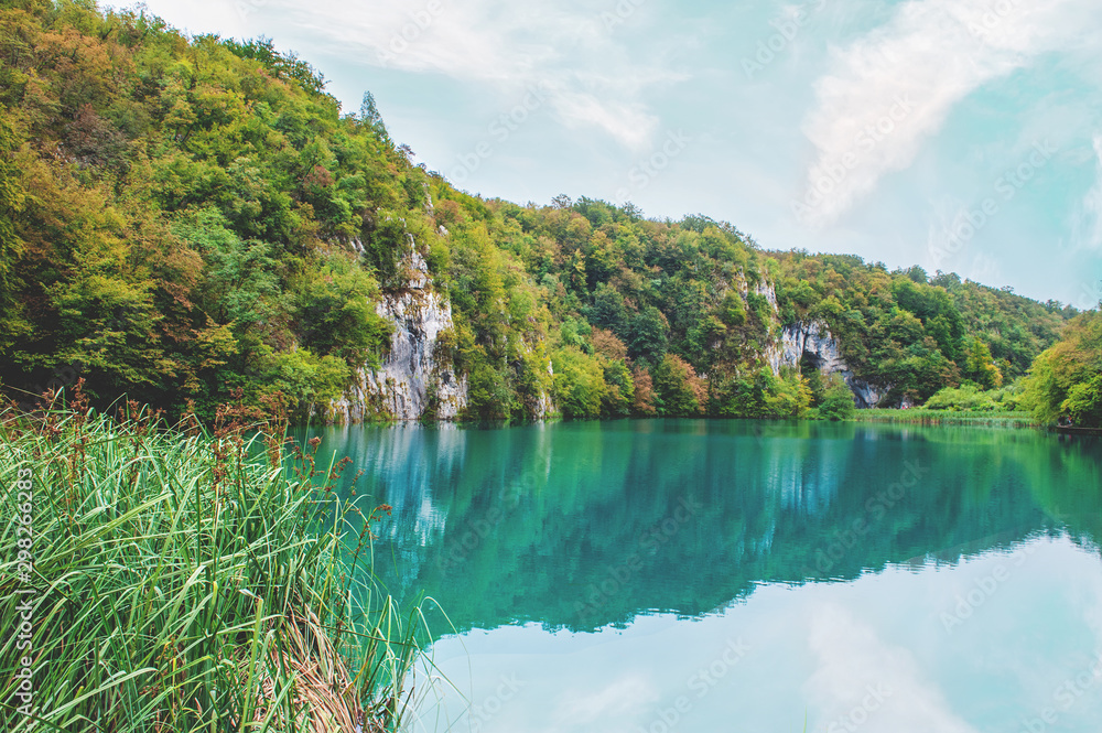 Surprisingly clear and clean Plitvice lakes of Croatia. A truly pristine and wonderful piece of wildlife in the mountains. A famous attraction in Croatia