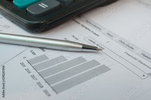 financial acounting report growth chart