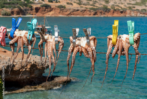 Plaka, Crete, Greece. October 2019. Octopus pegged to a line dry in the hote Cretan sunshine in Plaka.
