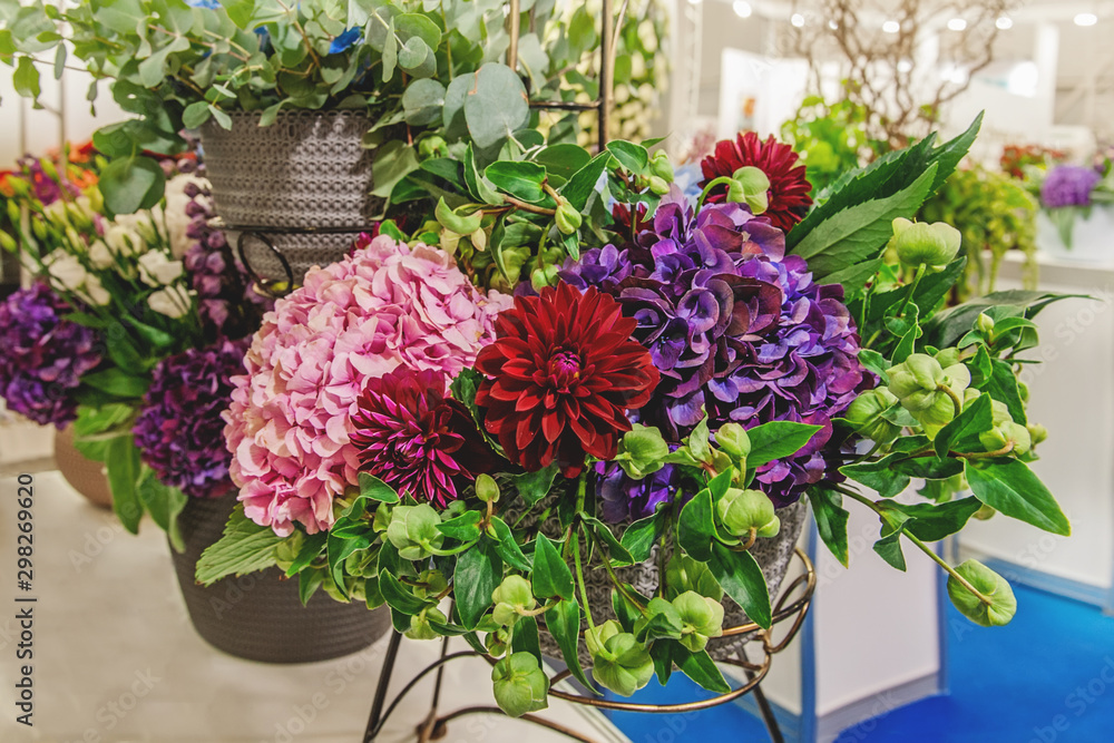 Bouquet of dahlias beautiful purple, green and white hydrangeas and green orchids. Modern trends in floriculture. Decoration of residential premises with flowers