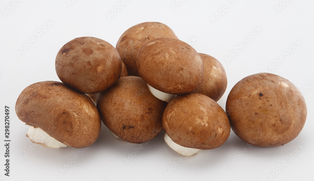fresh mushrooms fresh mushrooms