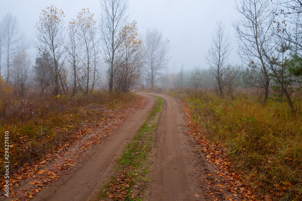 ground road through the misty autumn forest