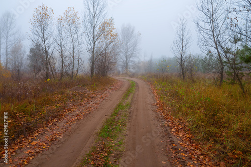ground road through the misty autumn forest