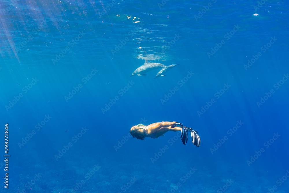 Woman in bikini swimming under dolphins in blue ocean Woman in bikini swimming under dolphins in blue ocean
