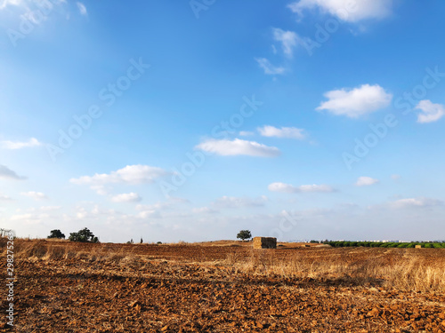 Field with hay bales after harvest in summer in Israel