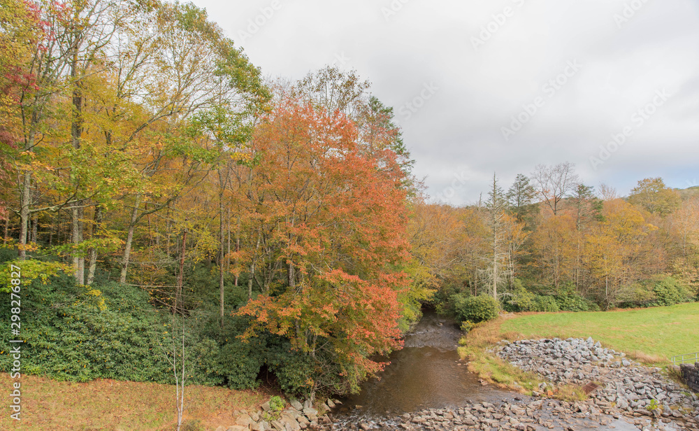 Obraz premium Fall Colors Show - Blue ridge Parkway North Carolina - Drive Through