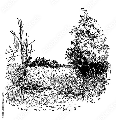 Lincoln Birthplace Spot vintage illustration