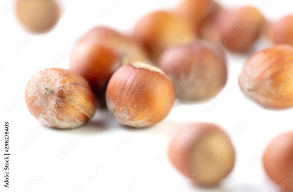 Hazelnuts nuts isolated on a white background