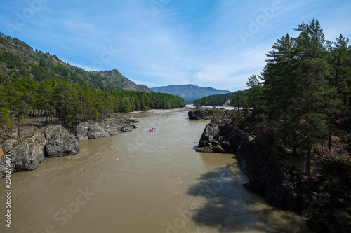 Mountain river flows among the rocks. Siberian landscape. Altay.