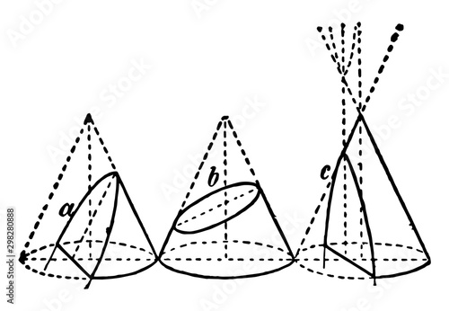 Cone. vintage illustration.