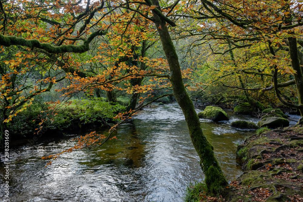 Seasonal Autumn coloured leaves over a river