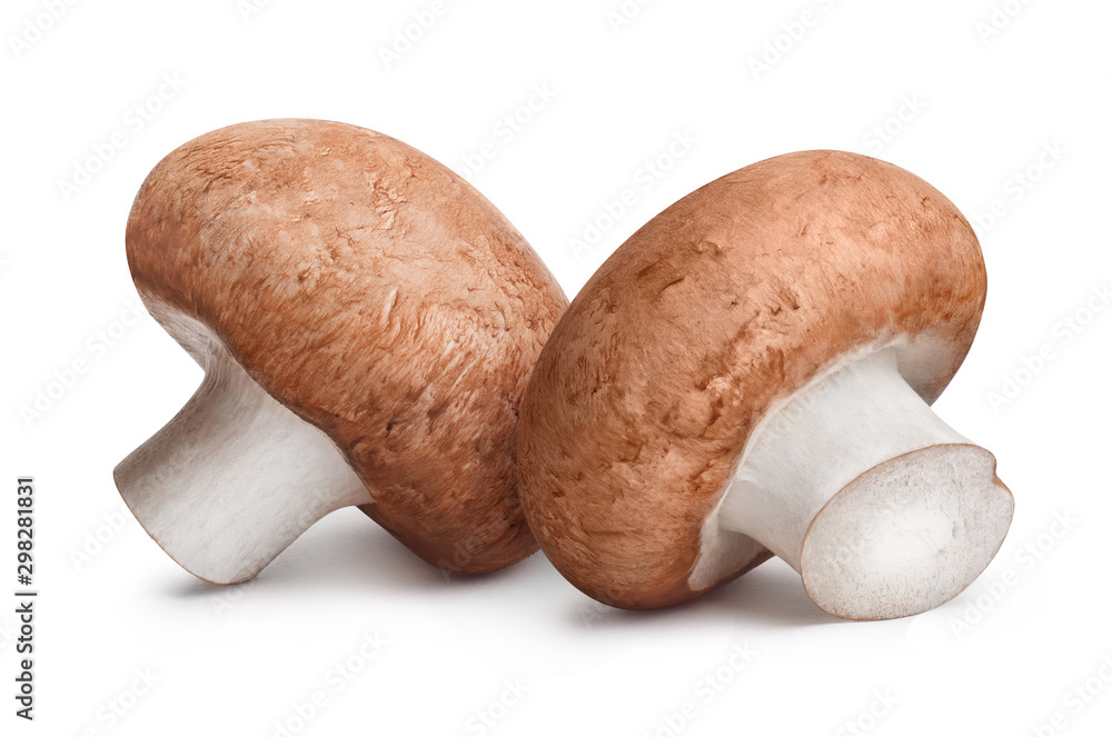 Delicious champignon mushrooms, isolated on white background - obrazy, fototapety, plakaty 