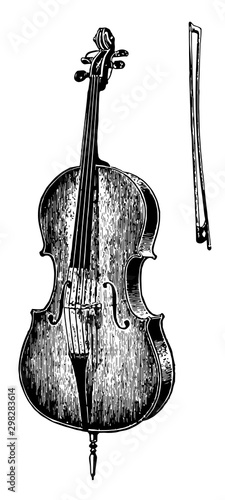 Violoncello, vintage illustration.