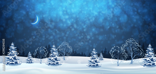 Winter Night Landscape