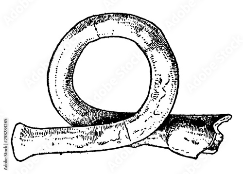 Bugle, vintage illustration.