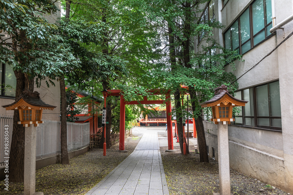 Red Torii Gates at Hanazono Jinja Shrine, Tokyo, Japan Red Torii Gates at Hanazono Jinja Shrine, Tokyo, Japan