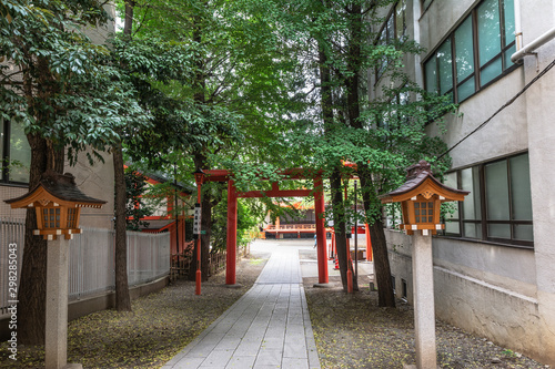 Red Torii Gates at Hanazono Jinja Shrine  Tokyo  Japan
