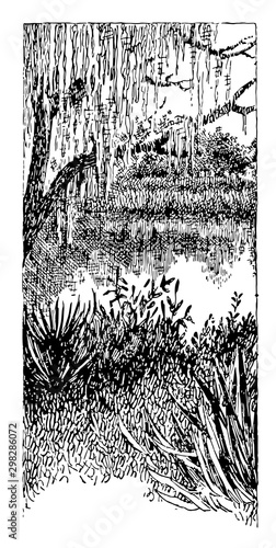 Saint John's River vintage illustration