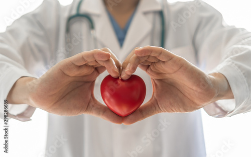 Cardiovascular disease doctor or cardiologist holding red heart in clinic or hospital exam room office for csr professional medical service, cardiology health care and world heart health day concept photo