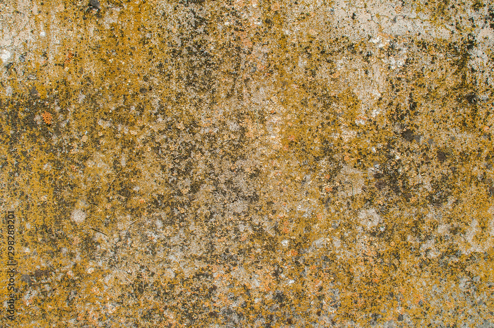Old weathered mossy sandstone surface with lichens closeup as stone background Old weathered mossy sandstone surface with lichens closeup as stone background