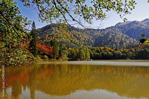 Fototapeta Naklejka Na Ścianę i Meble -  autumn landscape with lake and trees
