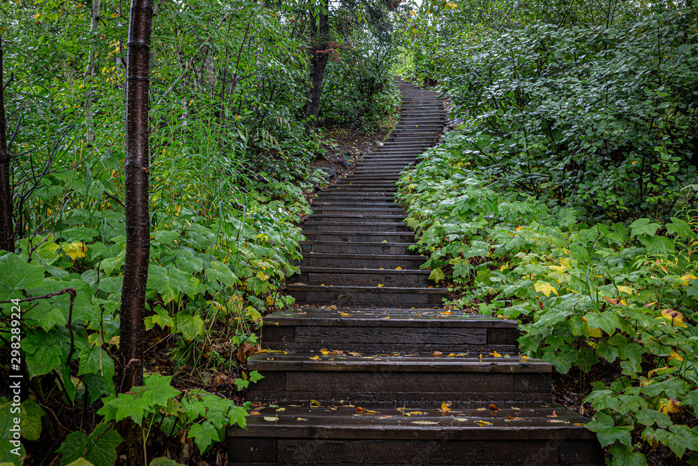 Staircase in the woods along Minnesota's North Shore