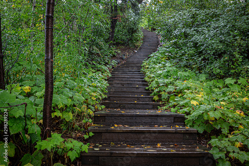 Staircase in the woods along Minnesota s North Shore