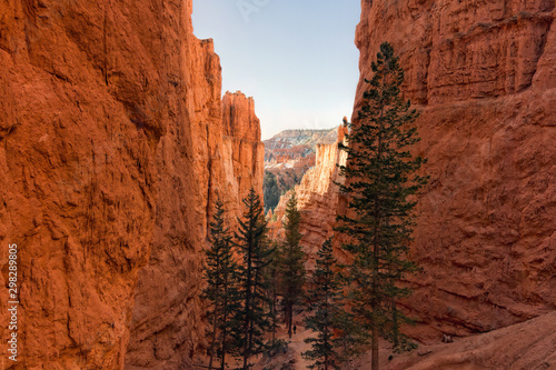 Hiker in Bryce Canyon