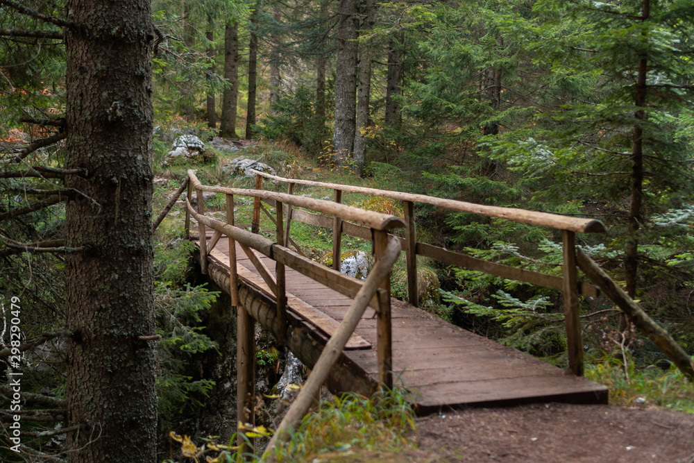 Old wooden bridge in the forest