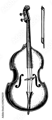 Double Bass, vintage illustration.