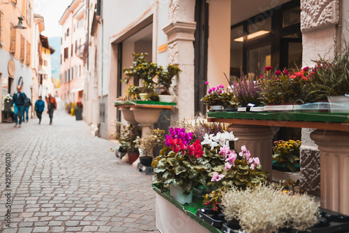 Flowers on an old Italian street in the city of Arco in focus. Street background blurred
