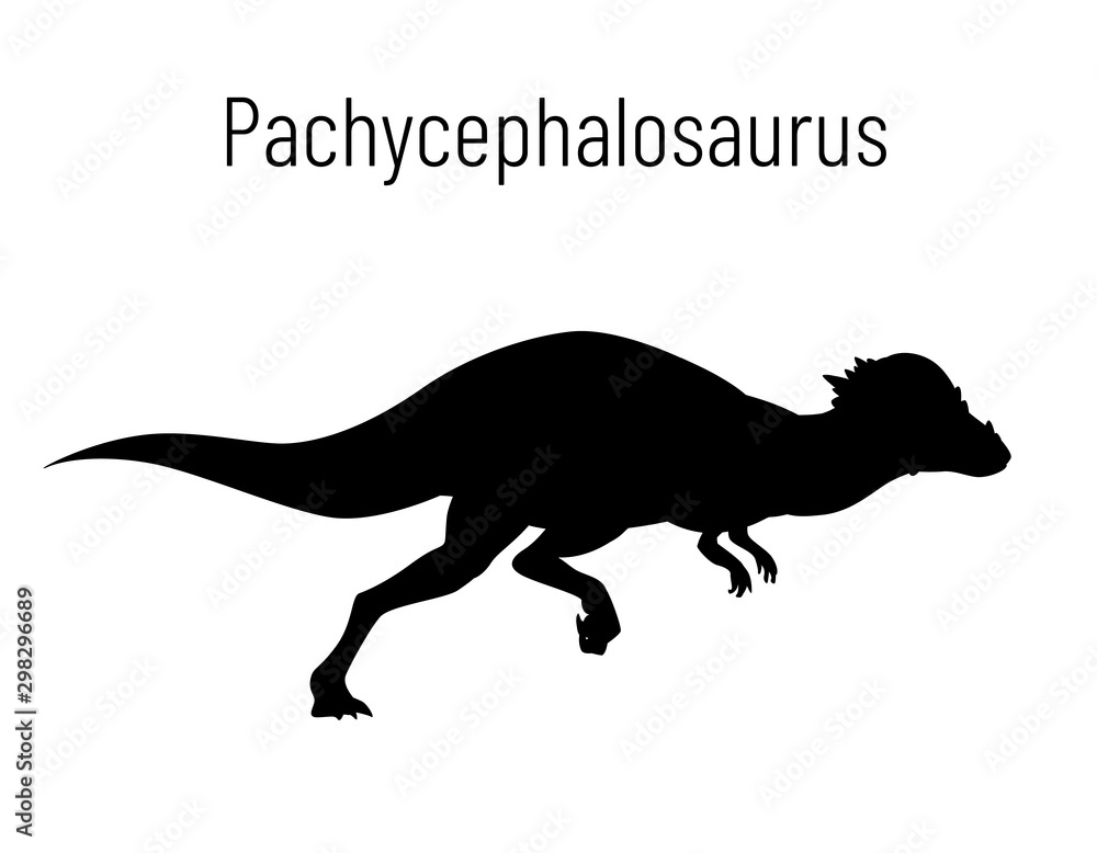 Naklejka premium Pachycephalosaurus. Ornithischian dinosaur. Monochrome vector illustration of silhouette of prehistoric creature pachycephalosaurus isolated on white background. Stencil. Huge fossil dinosaur.