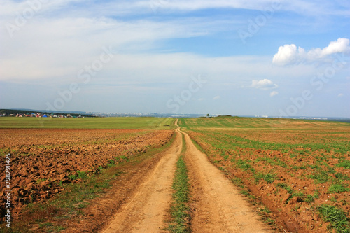 Country road in the field