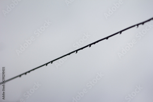 water droplets on a wire, wintry image © celso claro