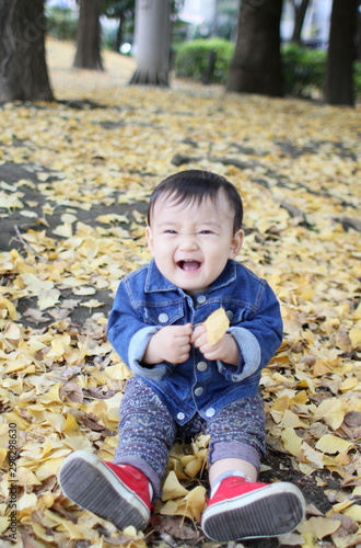 Baby boy playing among fallen leaves of ginkgo