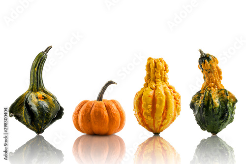 Four colorful decorative gourds on a white background with a reflection © Yves