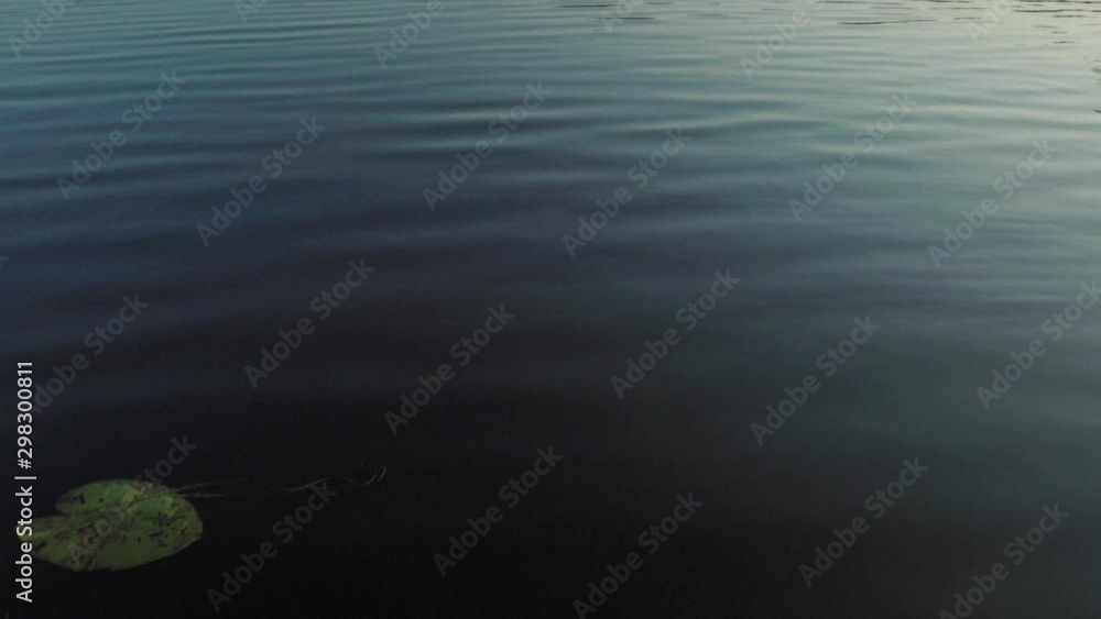 leaf in the middle of the lake, beautiful landscape surrounded by mountains, and forest, leaf in the middle of the lake, beautiful landscape surrounded by mountains, and forest,