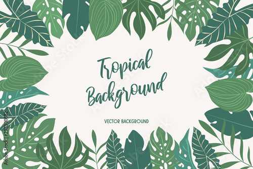 vector background with tropical leaves
