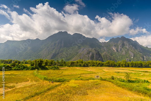 Rice field surrounded by rock formations in Vang Vieng  Laos. Vang Vieng is a popular destination for adventure tourism in a limestone karst landscape.