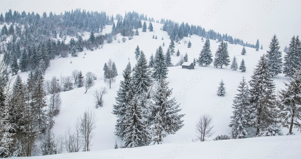 Obraz premium Winter forest and meadows landscape, calm tranquil snowy countryside landscape