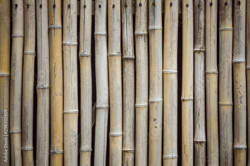 Bamboo stems  furniture.