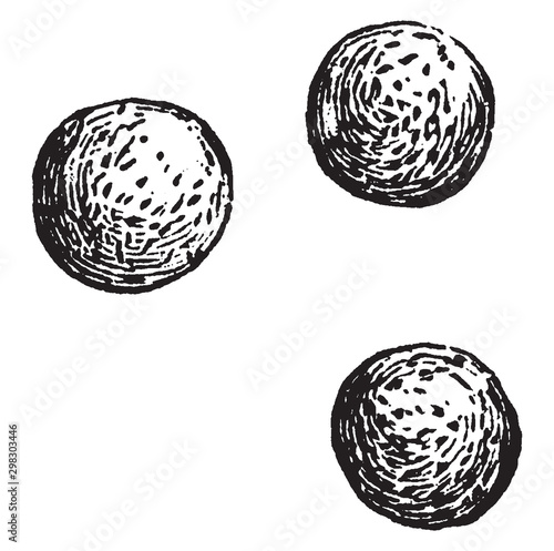 Spores vintage illustration.