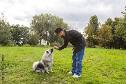 Young man teaches Keeshond puppy outdoors. The puppy is sitting and looking at the man. Early autumn
