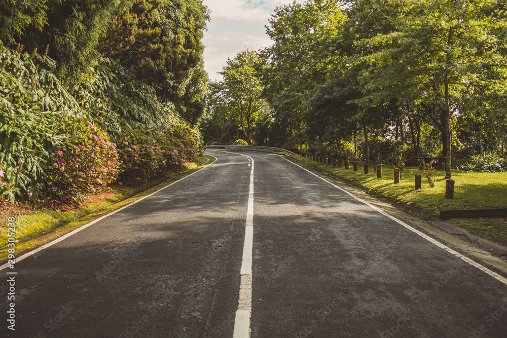 Fototapeta premium Empty road is leading through beautiful landscape on the island of Sao Miguel, Azores, Portugal