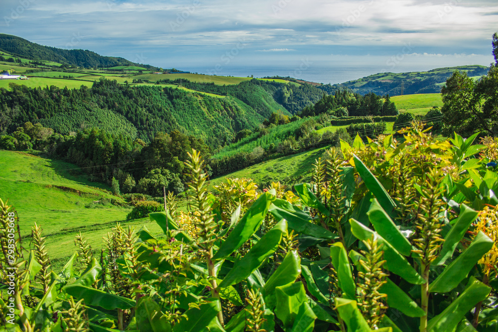 beautiful green wild landscape on the island of Sao Miguel, Azores, Portugal beautiful green wild landscape on the island of Sao Miguel, Azores, Portugal