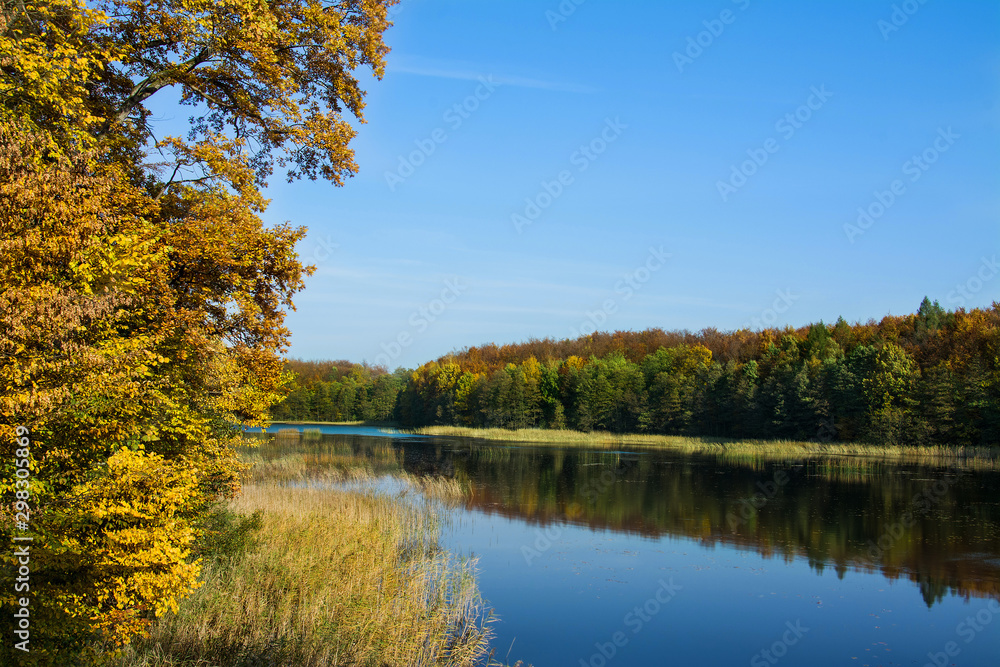 jezioro i las, piękny jesienny krajobraz, barwnie 